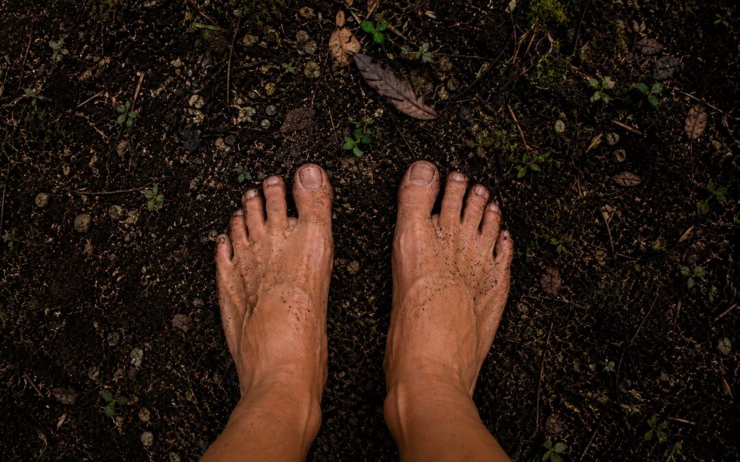 The Brain Is Swappable. The Ground Isn't.