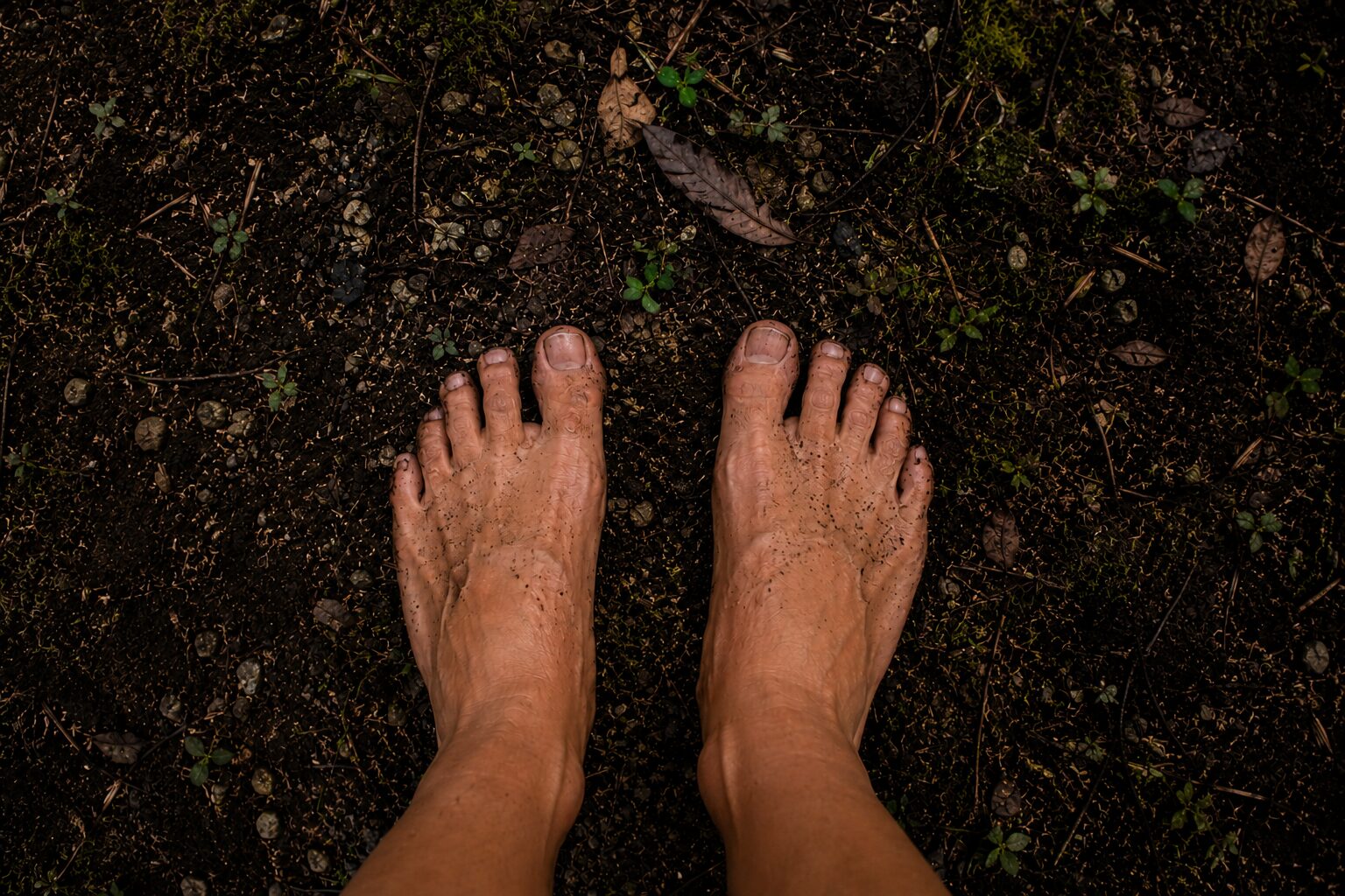 The Brain Is Swappable. The Ground Isn't.